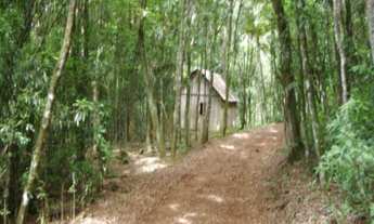 Imagem: AREA RURAL em Nova Petrópolis - RS, Fazenda