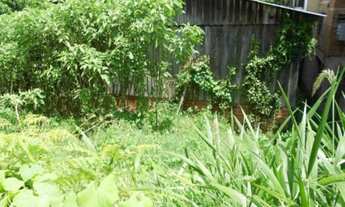 Imagem 4: TERRENO COMERCIAL em Nova Petrópolis - RS, Centro