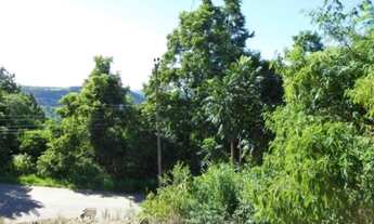 Imagem 2: TERRENO RESIDENCIAL em Nova Petrópolis - RS, Vila Olinda