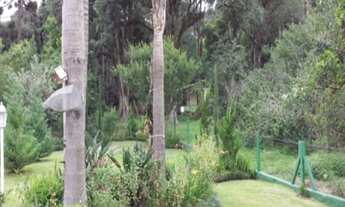 Imagem 3: CASA RESIDENCIAL em Nova Petrópolis - RS, Linha Imperial