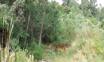 Imagem 4: TERRENO RESIDENCIAL em Nova Petrópolis - RS, Pousada da Neve