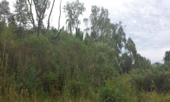 Imagem 6: TERRENO RESIDENCIAL em Nova Petrópolis - RS, Pousada da Neve