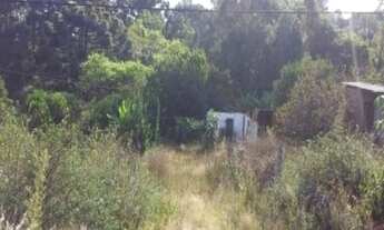 Imagem 7: TERRENO RESIDENCIAL em Nova Petrópolis - RS, Linha Brasil