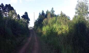 Imagem 5: AREA RURAL em Nova Petrópolis - RS, São Jacó
