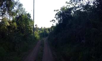 Imagem 7: AREA RURAL em Nova Petrópolis - RS, São Jacó