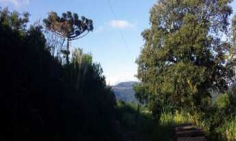 Imagem: AREA RURAL em Nova Petrópolis - RS, São