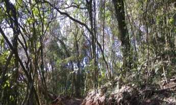 Imagem 6: AREA RURAL em Nova Petrópolis - RS, Linha Imperial