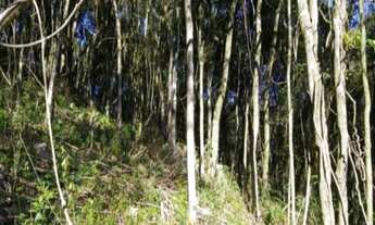 Imagem 7: AREA RURAL em Nova Petrópolis - RS, Linha Imperial