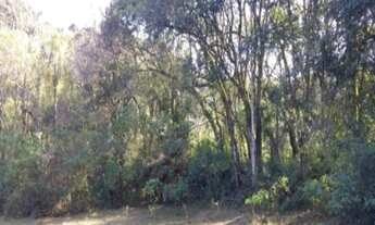 Imagem 4: AREA RURAL em Nova Petrópolis - RS, Fazenda Pirajá