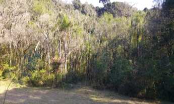 Imagem 5: AREA RURAL em Nova Petrópolis - RS, Fazenda Pirajá