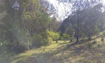 Imagem 6: AREA RURAL em Nova Petrópolis - RS, Fazenda Pirajá