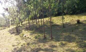 Imagem 7: AREA RURAL em Nova Petrópolis - RS, Fazenda Pirajá