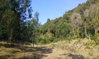 Imagem: AREA RURAL em Nova Petrópolis - RS, Fazenda