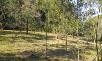 Imagem 3: AREA RURAL em Nova Petrópolis - RS, Fazenda Pirajá