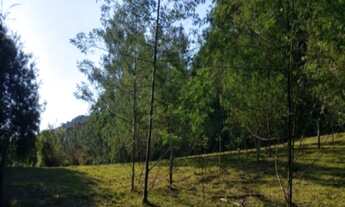 Imagem 2: AREA RURAL em Nova Petrópolis - RS, Fazenda Pirajá