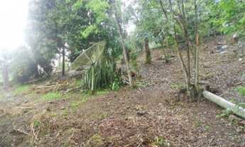 Imagem 6: CASA RESIDENCIAL em Picada Café - RS, Picada Olanda