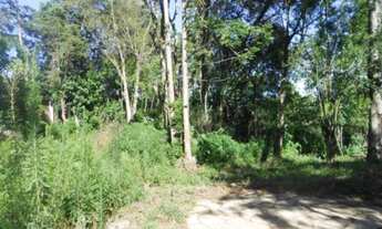 Imagem: TERRENO COMERCIAL em Nova Petrópolis