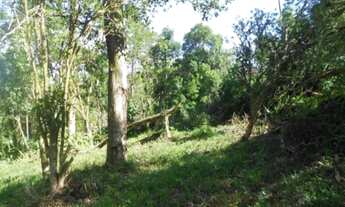 Imagem 4: TERRENO COMERCIAL em Nova Petrópolis - RS, Centro