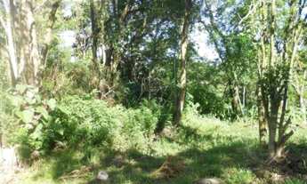 Imagem 5: TERRENO COMERCIAL em Nova Petrópolis - RS, Centro