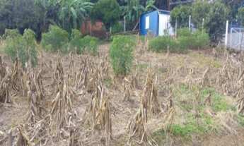 Imagem: TERRENO RESIDENCIAL em Nova Petrópolis