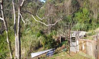 Imagem 6: SITIO RURAL em Nova Petrópolis - RS, Fazenda Pirajá