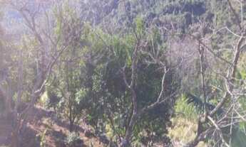 Imagem 4: SITIO RURAL em Nova Petrópolis - RS, Fazenda Pirajá