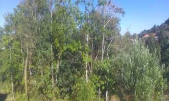 Imagem 5: TERRENO RESIDENCIAL em Nova Petrópolis - RS, Recanto dos Platanos