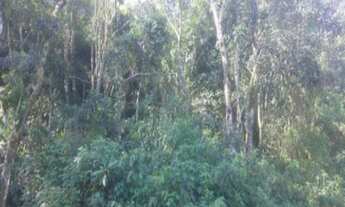 Imagem 4: AREA RURAL em Nova Petrópolis - RS, Linha Pirajá Alta