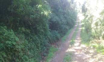 Imagem 5: AREA RURAL em Nova Petrópolis - RS, Linha Pirajá Alta
