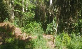 Imagem 3: AREA RURAL em Nova Petrópolis - RS, Linha Pirajá Alta