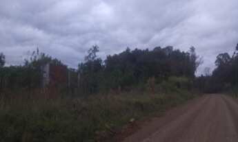 Imagem: AREA RURAL em Linha Nova - RS, Linha Nova