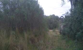 Imagem 2: AREA RURAL em Linha Nova - RS, Linha Nova