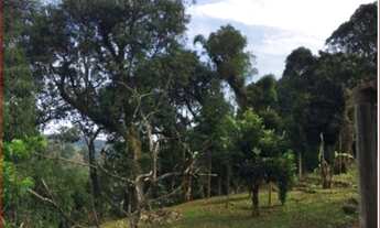 Imagem 4: CASA RESIDENCIAL em Nova Petrópolis - RS, Logradouro