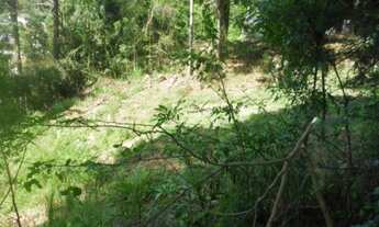 Imagem 7: TERRENO COMERCIAL em Nova Petrópolis - RS, Pia