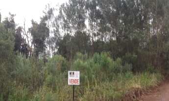 Imagem: AREA RURAL em Nova Petrópolis - RS, Fazenda