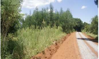Imagem 3: AREA RURAL em Nova Petrópolis - RS, Fazenda Pirajá