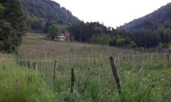 Imagem 4: Area RURAL em Nova Petrópolis - RS, 9 Colônias