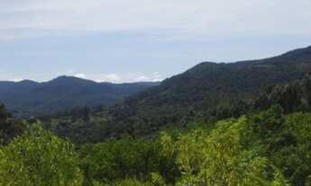 Imagem: AREA RURAL em Picada Café - RS, Lichthenthal