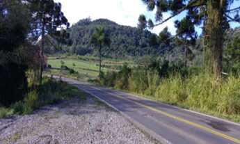 Imagem 4: AREA COMERCIAL em Nova Petrópolis - RS, Linha Araripe