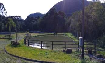 Imagem 5: AREA COMERCIAL em Nova Petrópolis - RS, Linha Araripe