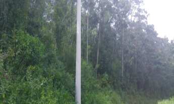 Imagem 3: AREA RURAL em Nova Petrópolis - RS, Morro da Fome