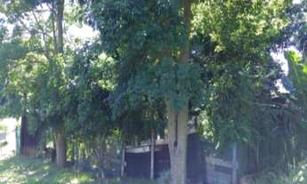 Imagem 6: TERRENO em Nova Petrópolis - RS, Vila Germânia