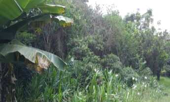 Imagem 2: Sitio RESIDENCIAL em Caxias do Sul - RS, Nova Palmira