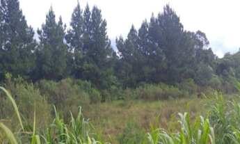 Imagem: TERRENO RESIDENCIAL em Nova Petrópolis