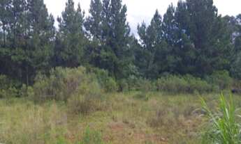 Imagem 4: TERRENO RESIDENCIAL em Nova Petrópolis - RS, Pinhal Alto