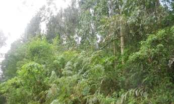 Imagem 6: AREA RURAL em Nova Petrópolis - RS, Linha Olinda