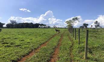 Imagem: Excelente oportunidade! Sítio à venda