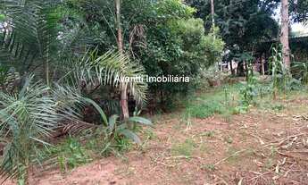 Imagem 7: Chácara à venda no Parque das Américas com 5.000 m² de área total e 250 m² de construção