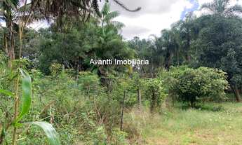 Imagem 6: Chácara à venda no Parque das Américas com 5.000 m² de área total e 250 m² de construção