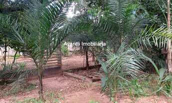 Imagem 3: Chácara à venda no Parque das Américas com 5.000 m² de área total e 250 m² de construção